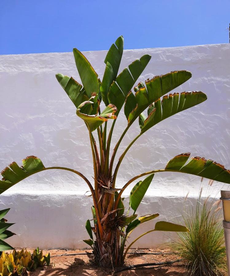 Ferienwohnung Casa Vivi Fuerteventura Corralejo Exterior foto