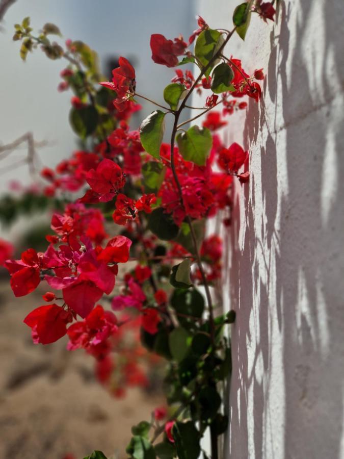 Ferienwohnung Casa Vivi Fuerteventura Corralejo Exterior foto